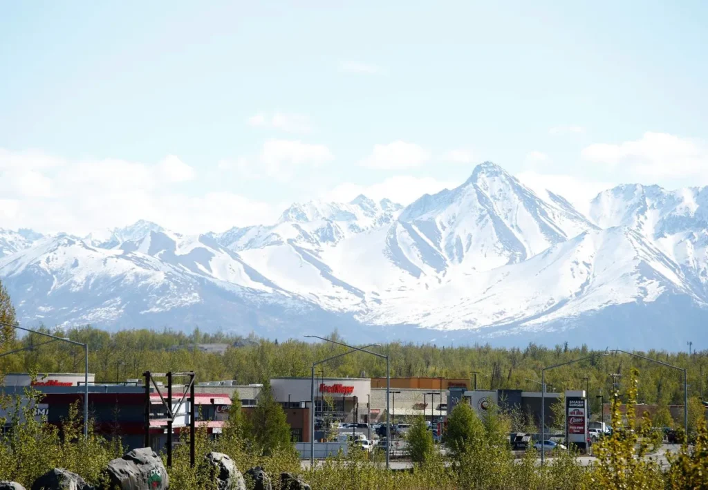 city of wasilla skyline