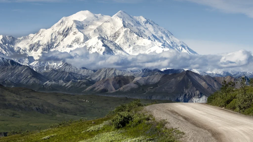 denali national park mountain in background